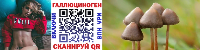 Галлюциногенные грибы MAGIC MUSHROOMS наркошоп Кяхта